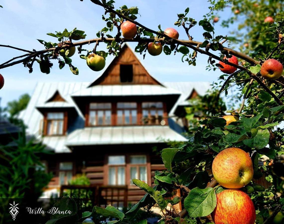 Willa Blanca Zakopane Bed & Breakfast Eksteriør bilde